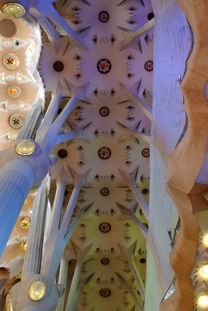 DSCF2559_1.jpg