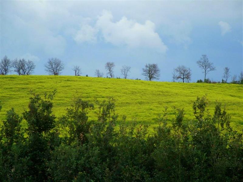 DSCF2603-1 (Medium).JPG