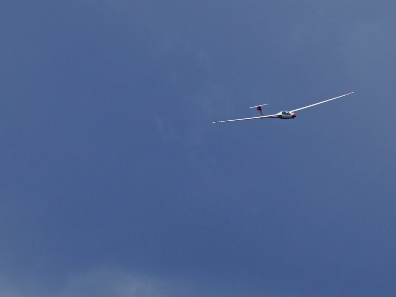 DSCF2612.jpg