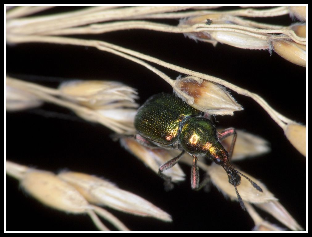 DSCF5772 [1024x768].jpg