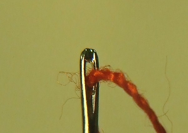 DSCF7503.JPG