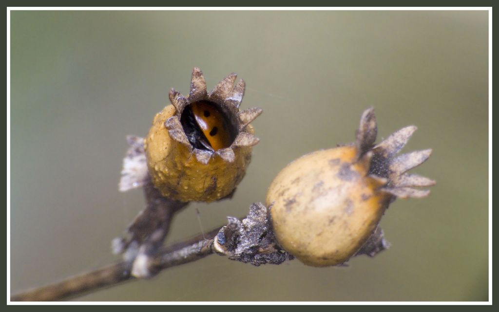 DSCF7720 [1024x768].jpg