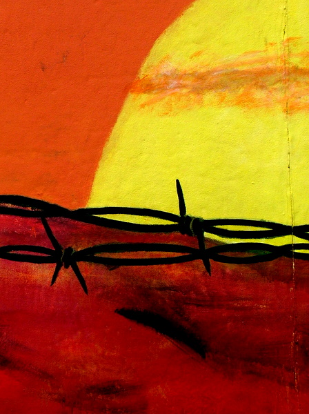 DSCF7806.JPG