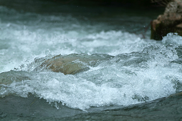 DSCF8388.jpg