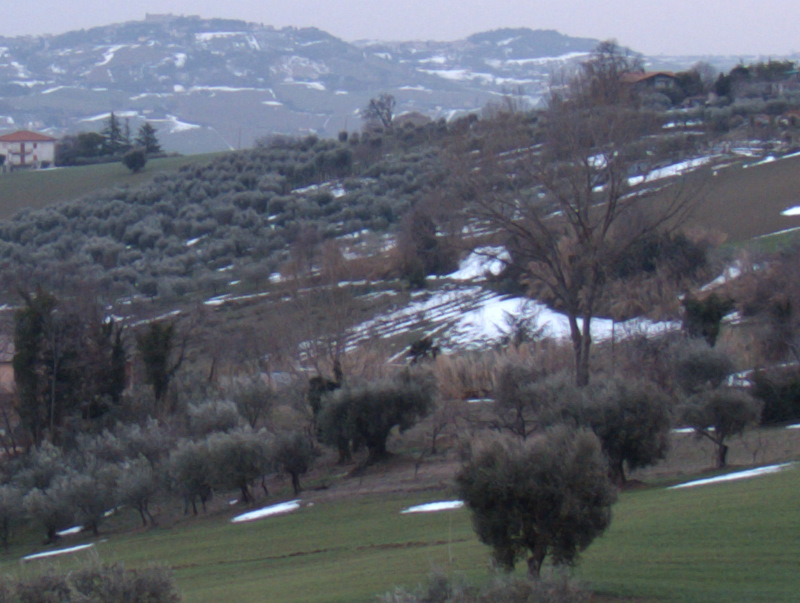 DSCF9370_con CPL_crop1_4.jpg