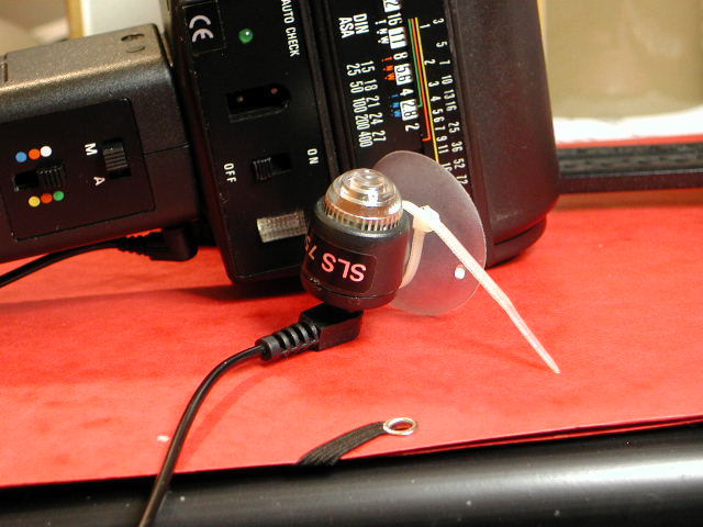 DSCN1543.JPG