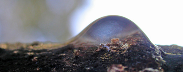 DSCN6755aa-1.105 f3.8.jpg