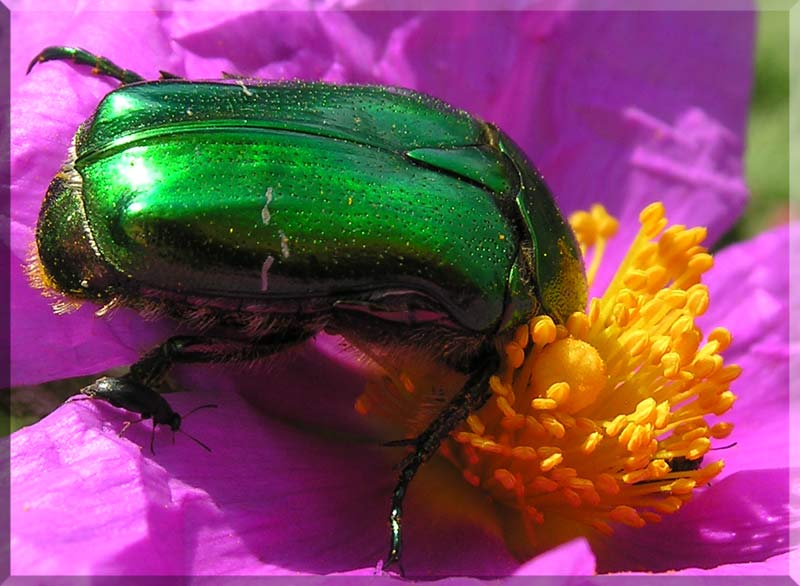 DSCN8056.jpg
