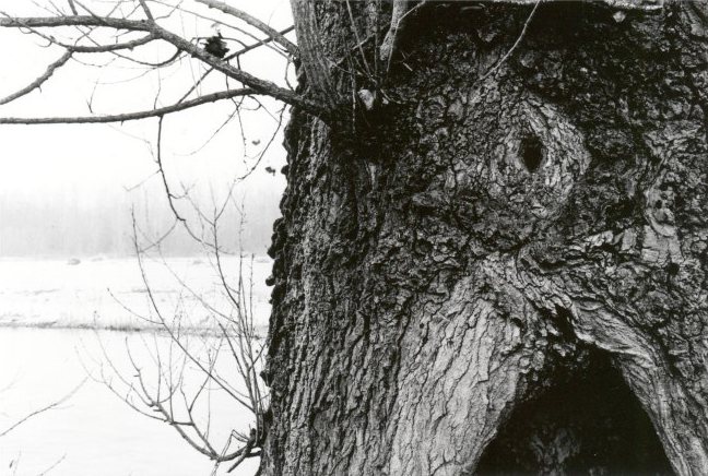 efke_25_2.jpg