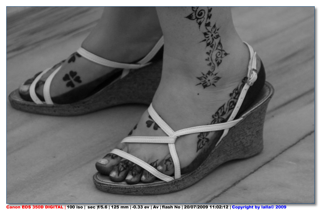 EPV0275 tris__lalla.jpg