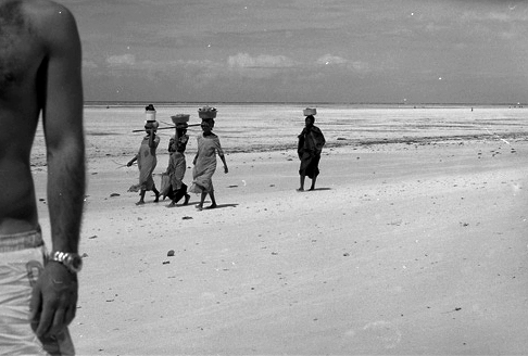 errorivari_151 copy.jpg