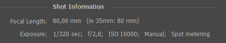 exif_data.PNG