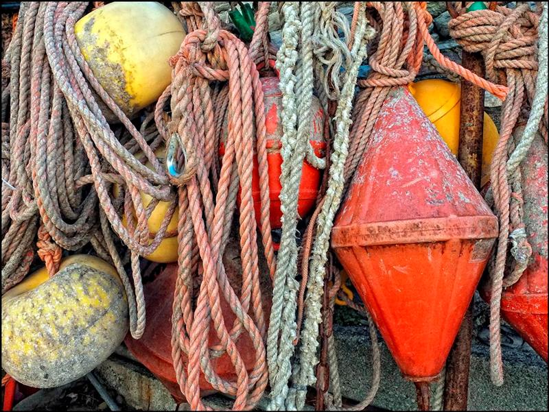 EXR gamma dinamica (Large) (Medium).jpg