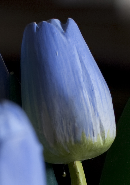 f4crop.jpg
