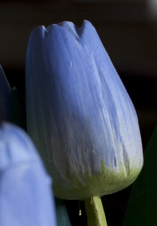 f5,6crop.jpg