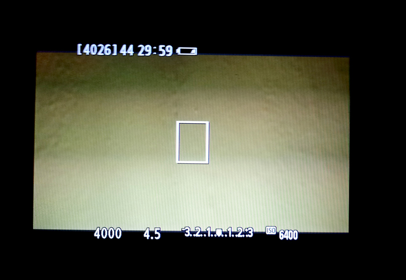 fasce mod smalll.jpg