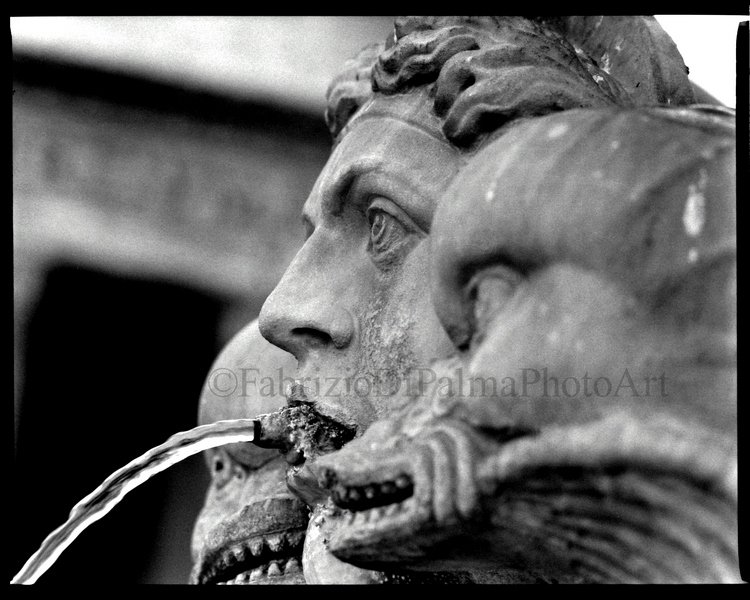 Fontana del Pantheon - particolare.jpg
