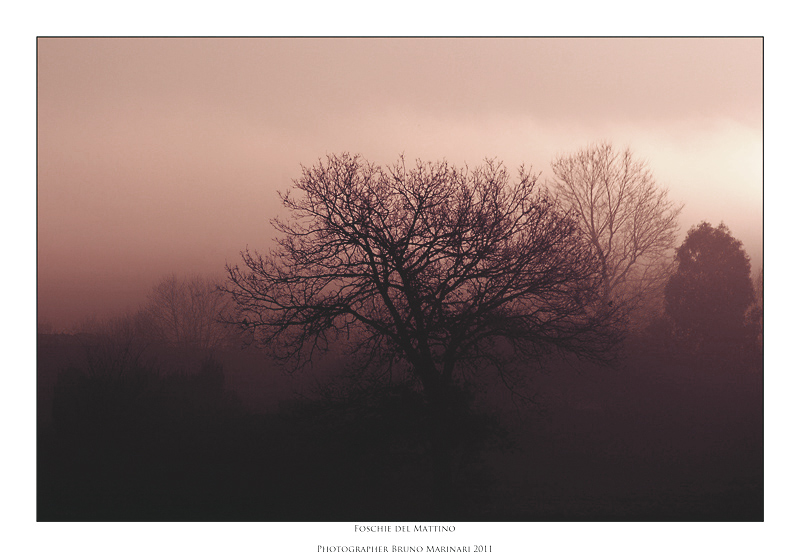 foschie-al-mattino-2.jpg