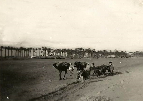 foto12.jpg