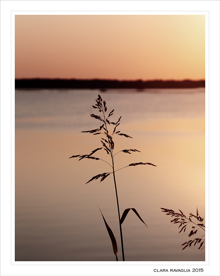 foto originale multiverse.jpg