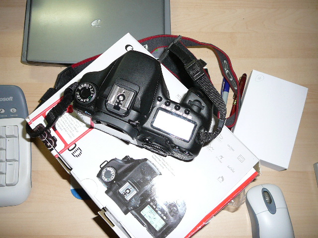 fotocanon 043.JPG
