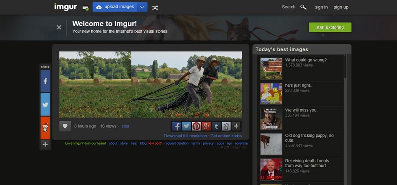 fotodioldman1 copia.jpg