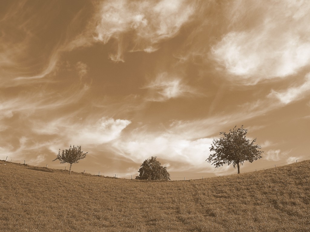 GB140075seppia (1024 x 768).jpg