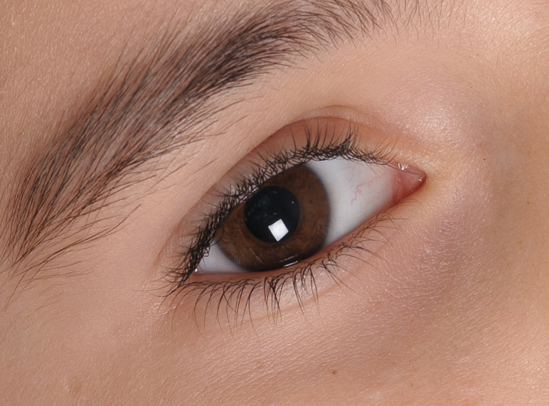 GCF_6606_crop.jpg