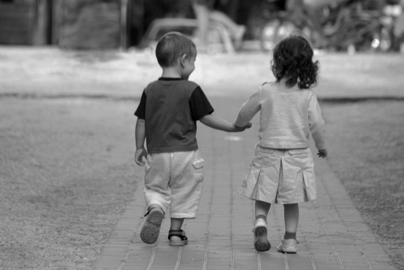 giovani galli crescono2.jpg