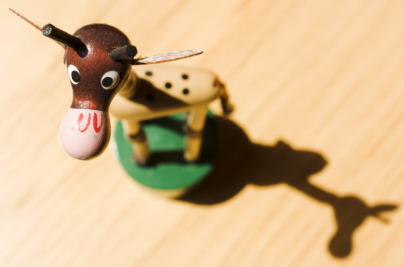 giraffa_f10.jpg