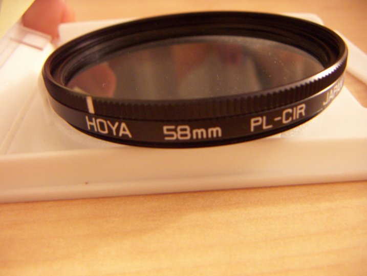 hoya1.jpg