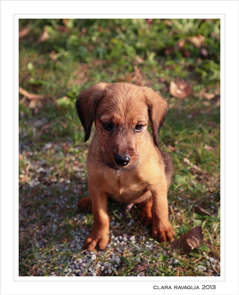 I'm a little one....jpg