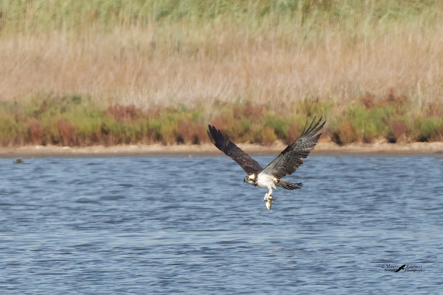 Il-pescatore-7_DSC6963.jpg