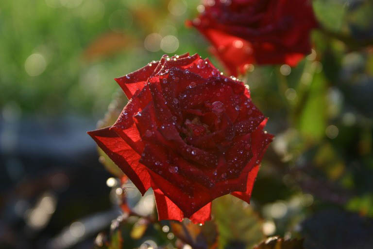 Image00001.jpg