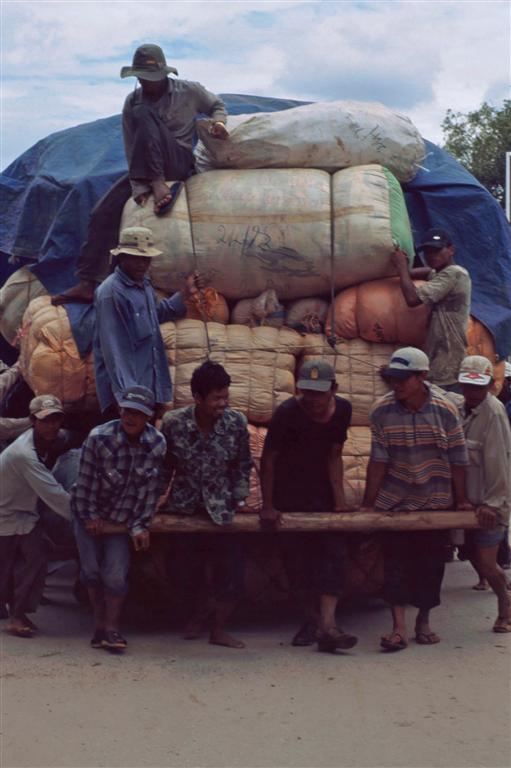 image305 (Medium).jpg