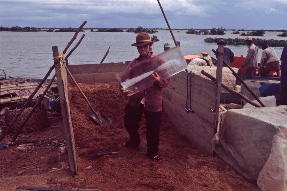 image308 (Medium).jpg