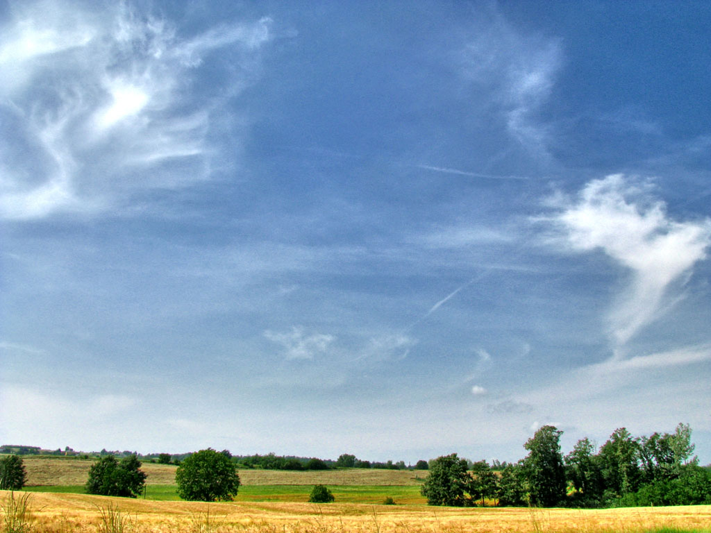 IMG_0893_easyHDR-BASIC-2 1024 colore.jpg