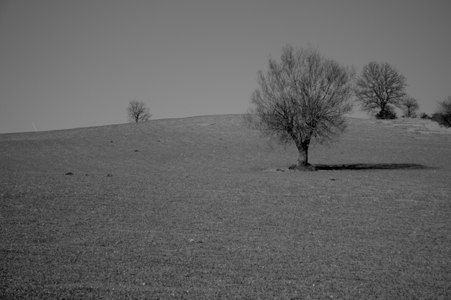 IMG_1159 - Version 2 (1).jpg