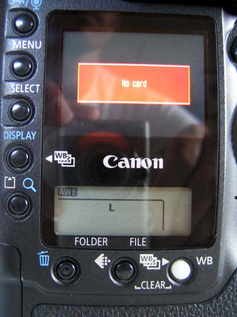 IMG_1941.jpg