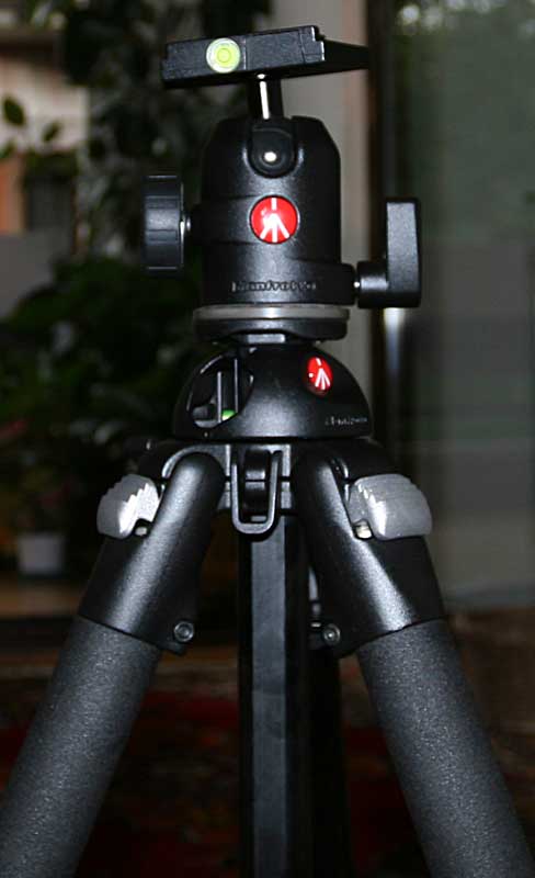 IMG_1993mod.jpg