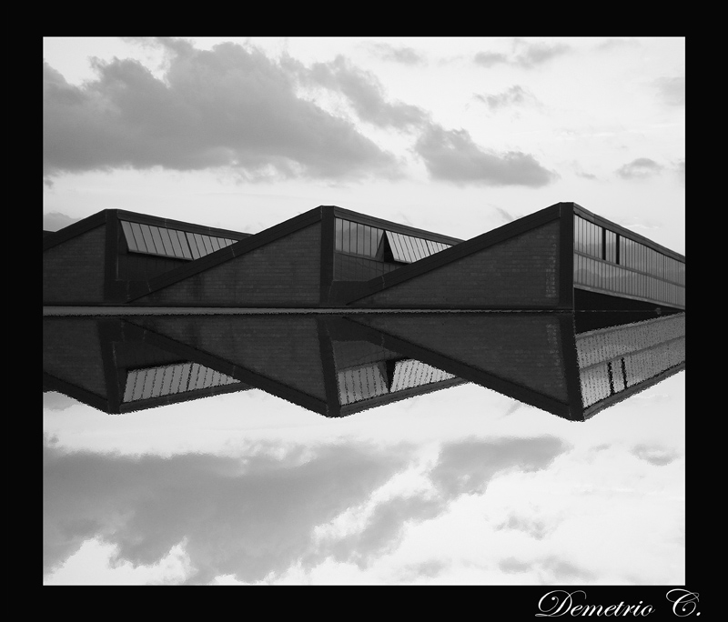 IMG_242riflesso monocro.jpg