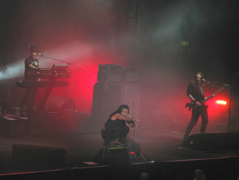 IMG_2942.jpg