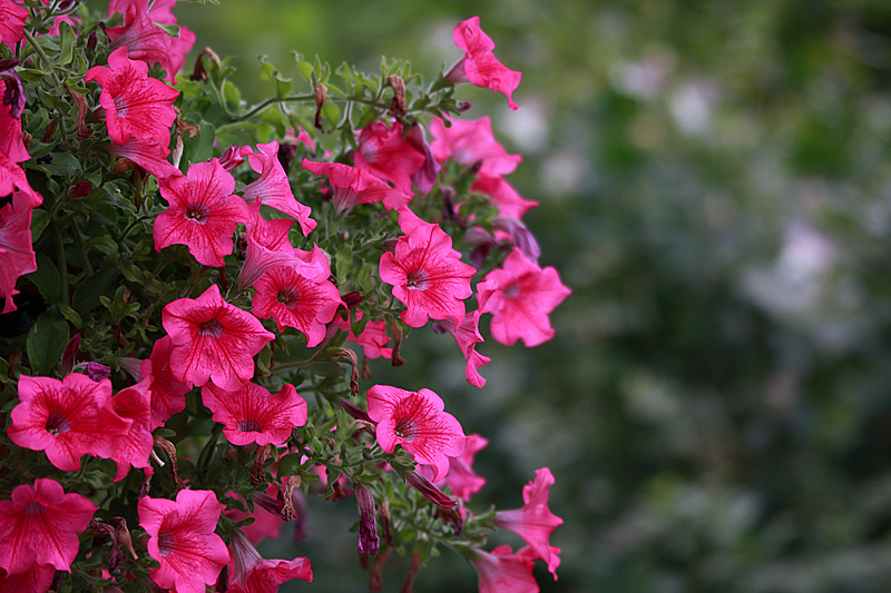 IMG_3210 r.jpg