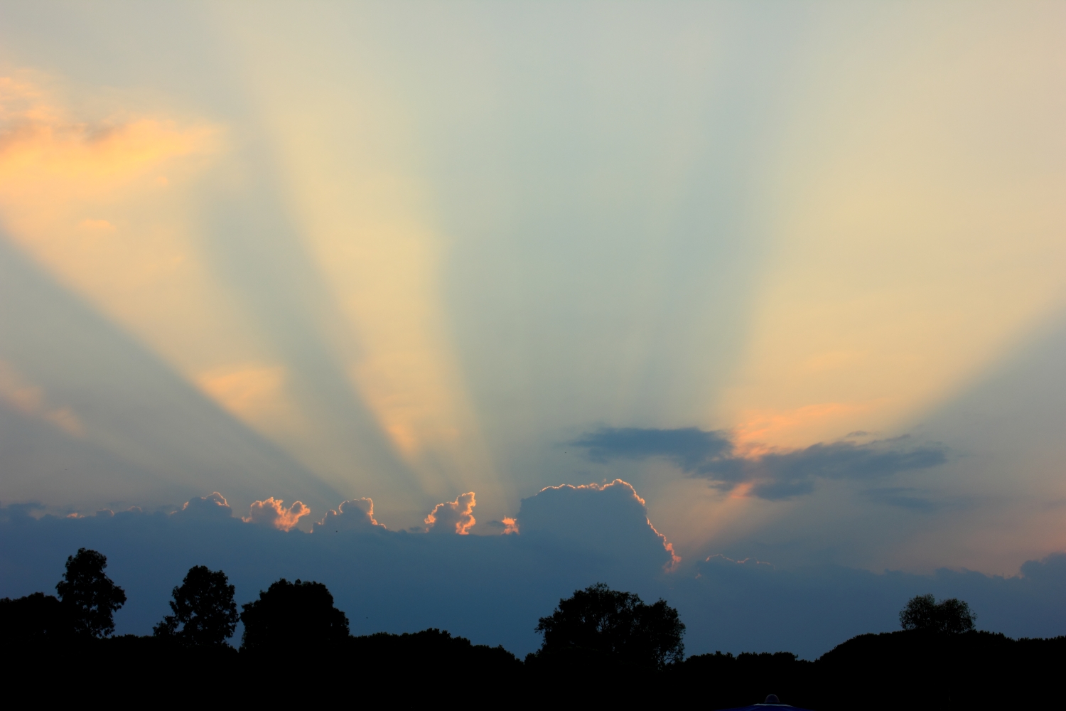 IMG_4066_forum.jpg