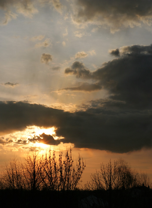 IMG_4303 verso il cielo WEB1.jpg