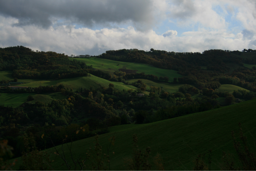 IMG_4446.JPG