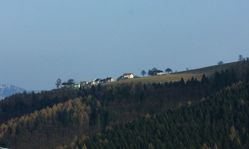 IMG_5838DPPCS3 [800x600].jpg