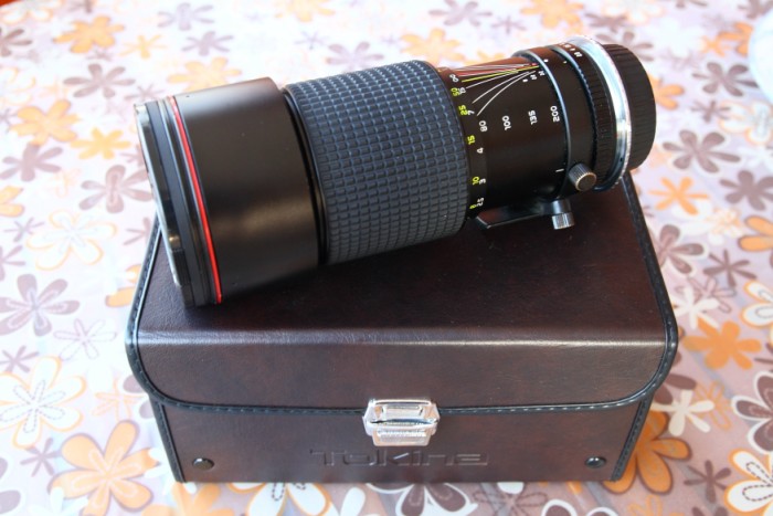 IMG_7143 [800x600].JPG