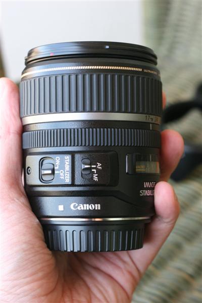 IMG_7448 (Medium).JPG