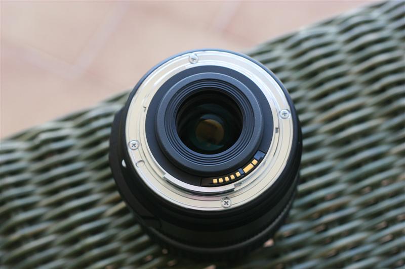 IMG_7451 (Medium).JPG